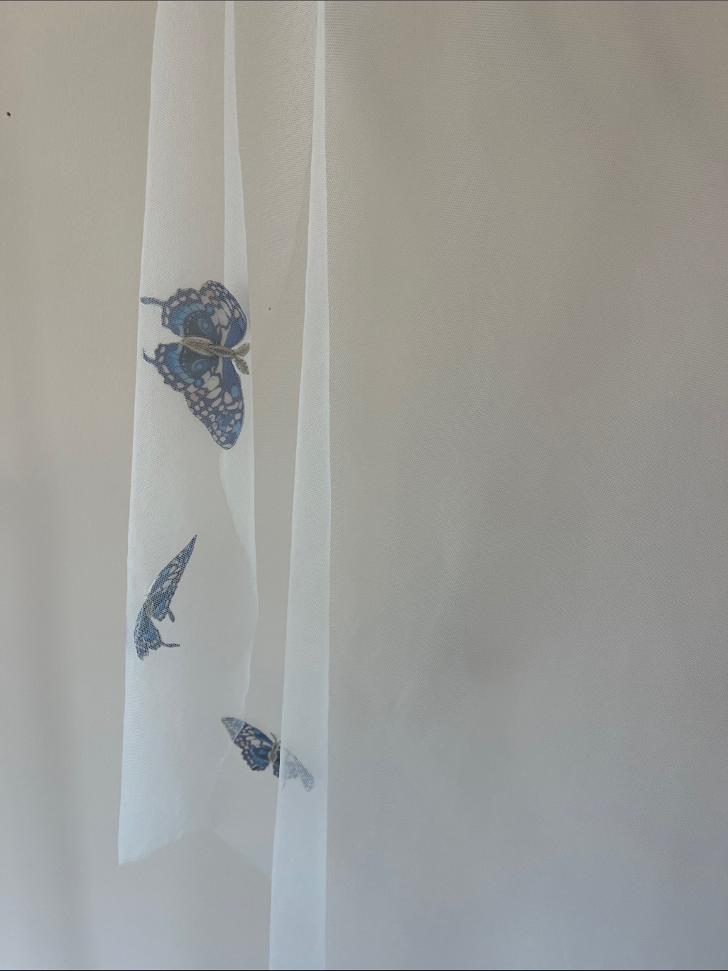 Rue De Seine ‘Papillon’ Veil — image 7 of 7